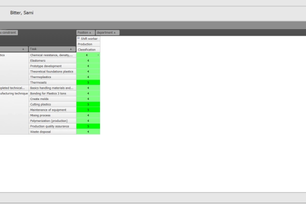 Employee qualification matrix