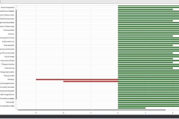 In the target/actual comparison of Q-Matrix, you can see (over)qualifications and qualification requirements at a glance using a two-color bar chart.