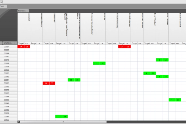 In the target/actual matrix, you can see requirements and deviations for each workplace in direct comparison.
